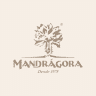 Mandrágora
