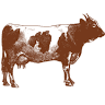 Varshetz Dairy Store
