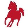 Maneggio Team Horse