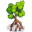 Mangrove.at