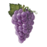 Manischewitz Wine Company