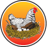 Manning Valley Free Range Eggs
