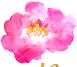 Manon Nierop Flowers