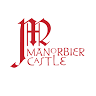 Manorbier Castle