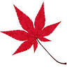Maple Grove Nursery