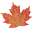 Maple Indian Cuisine