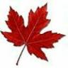 Maple Leaf Motel & RV Resort