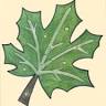 Maple Montessori Preschool