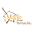 Maple Print Services Inc