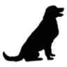 Mapleview Animal Hospital