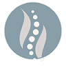 Dr. Marco D'Amato Chiropractor M.Sc.