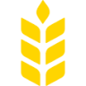 Bakery Mareis GmbH