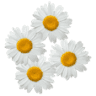 Ferienhof Margarethengut
