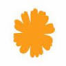 Marigold - Gateway to India