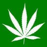 Buds4u