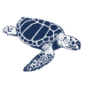 Loggerhead Marinelife Center