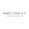 MARIO CIONI & C. S.R.L.