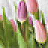 Floristeria Mariola Campos