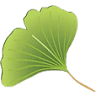 Market Place Dental Group