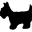 Marley Veterinary Clinic: Turner Amanda DVM