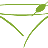 Martini's Organic Restaurant
