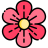MARY FLORISTAS