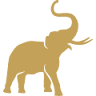 Masala Empire