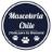 Mascoteria Chile