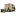 masiapedrolet