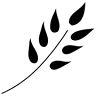 Mason Vitamins