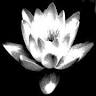 Massage & Healing Therapies