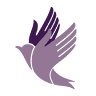 Spirit and Body Massage