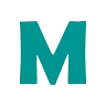 Master Electric Services Inc