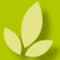 Master en Mindfulness