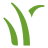 Mastergrass