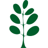 Delicatino GmbH - mate-tee.de -