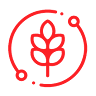 MATOI SRL