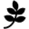 Matthews & Nulty, Inc.