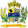 Our Lady Aparecida
