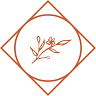 Maven Coffee