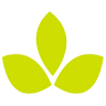 Mayesh Wholesale Florist, Inc.