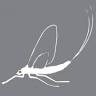 Mayfly Vintage