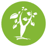Mindoro Biodiversity Conservation Foundation Inc Calapan Office