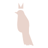 M.Bird