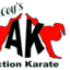 McCoy's Action Karate
