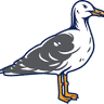 McSeagull’s Restaurant