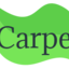 MCT Carpet Care