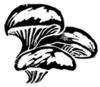 Meadowfall Farm & Forage
