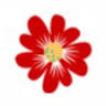 Meadow Grange Nursery LTD