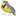 Meadowlark Massage